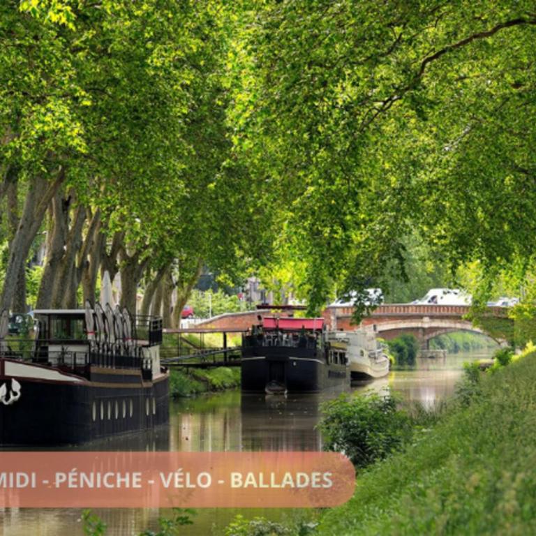 Appartement Centre Ville Toulouse - Dôme la Grave - WiFi- Parking GRATUIT - One-Bedroom Apartment - 38