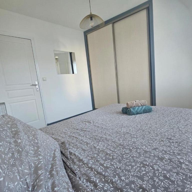 T2 Vue Cathédrale Centre ville - Appartement 1 Chambre - 12