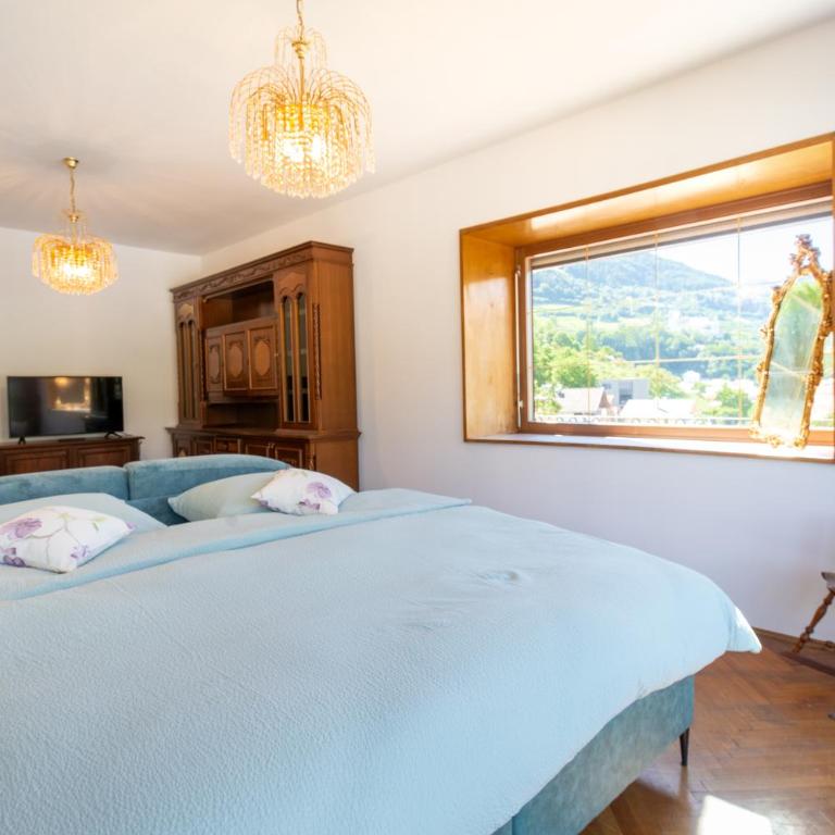 Fernblick - Appartamento - 10