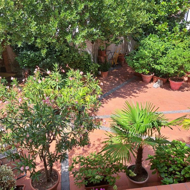 Monolocale Adelaide Abbadesse Guest House M3-M5 Zara - Appartamento con 1 Camera da Letto - 25