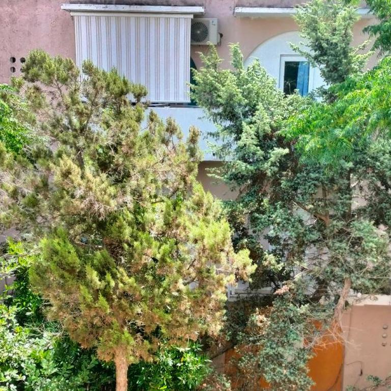 Piccolo bilocale immerso nel verde - One-Bedroom Apartment - 13