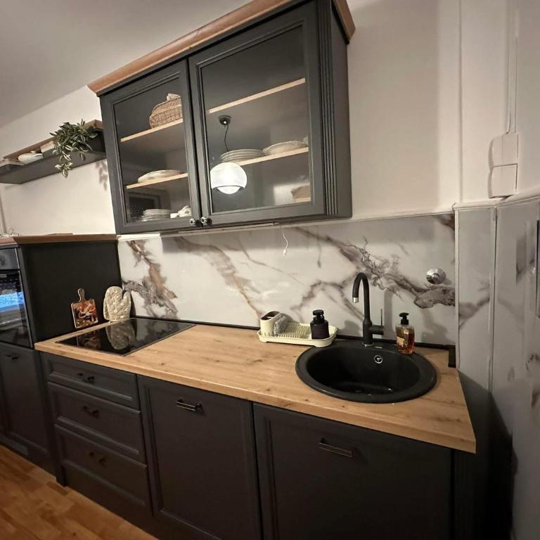 Casa Prosperitas Belgrade - Apartman sa 1 Spavaćom Sobom - 9