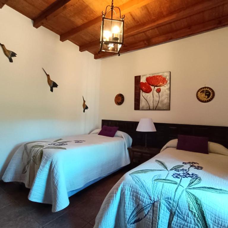 Villa del Sol - Villa Superior - 15
