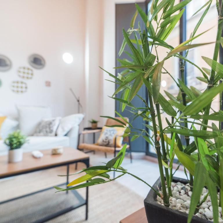 Apartamentos San Francisco con Terraza privada by Expoholidays - Apartamento de 2 dormitorios con terraza - 13