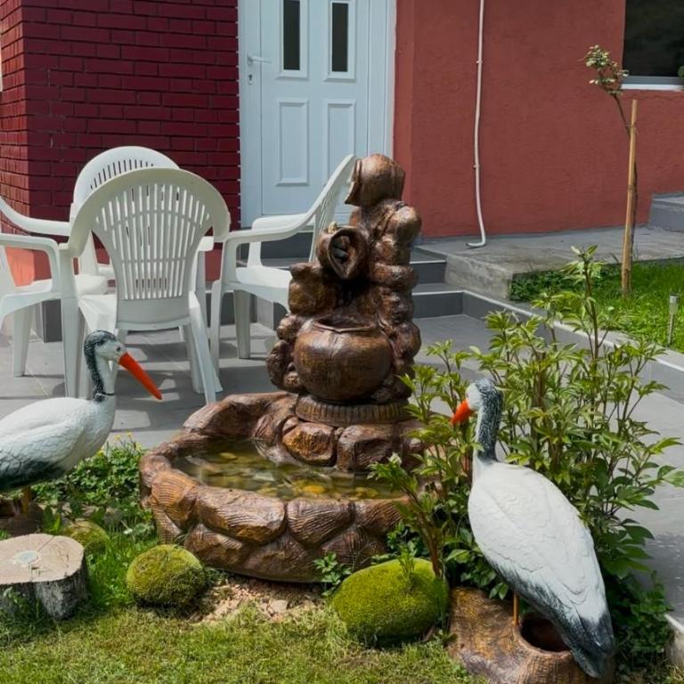 Apartman Novičić - Apartman sa 1 Spavaćom Sobom - 1