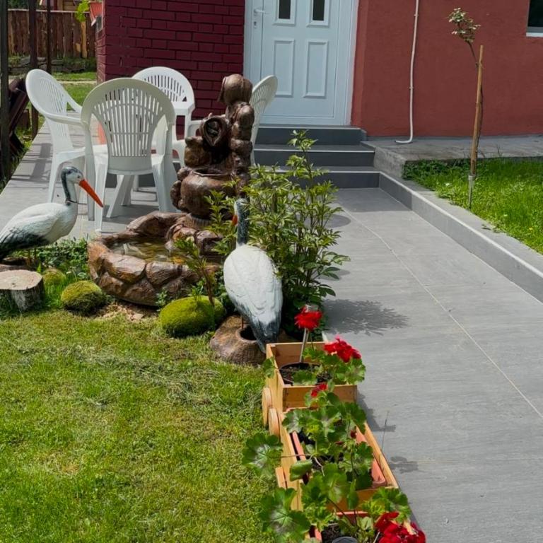 Apartman Novičić - Apartman sa 1 Spavaćom Sobom - 13