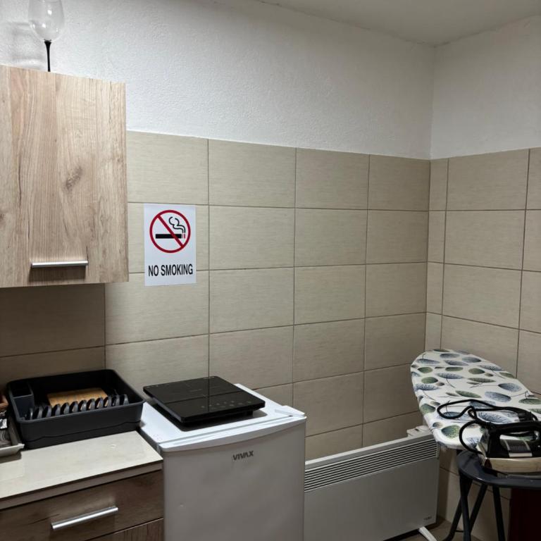 Apartman Novičić - Apartman sa 1 Spavaćom Sobom - 6