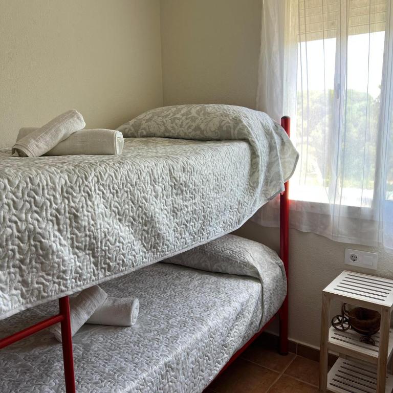 Bonito y confortable apartamento Novo Sancti Petri Barrosa Chiclana Cadiz - Room #1184583101 - 5