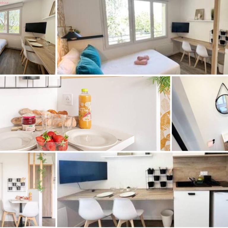 Les studios de l'Albatros - Appartement - 2