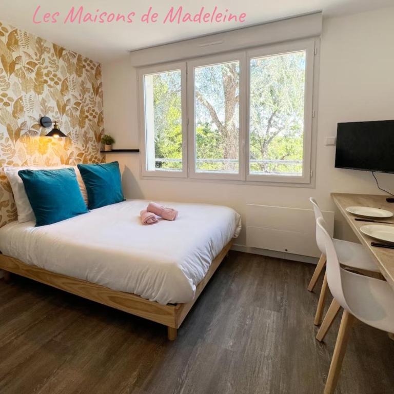 Les studios de l'Albatros - Appartement - 1