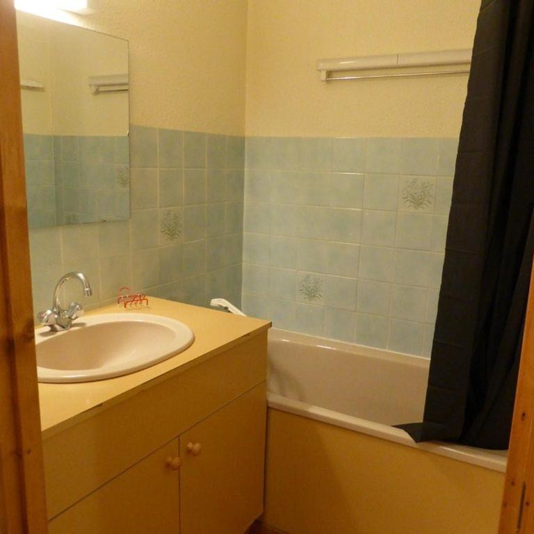 Charmant studio cabine, au pied des pistes, animaux admis - Studio - 5