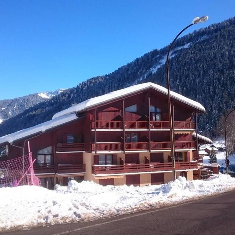 Charmant studio cabine, au pied des pistes, animaux admis - Studio - 10