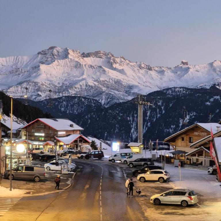 Studio lumineux station Les Saisies 100 M des pistes et ESF pour été comme hiver - Appartamento con 1 Camera da Letto - 22