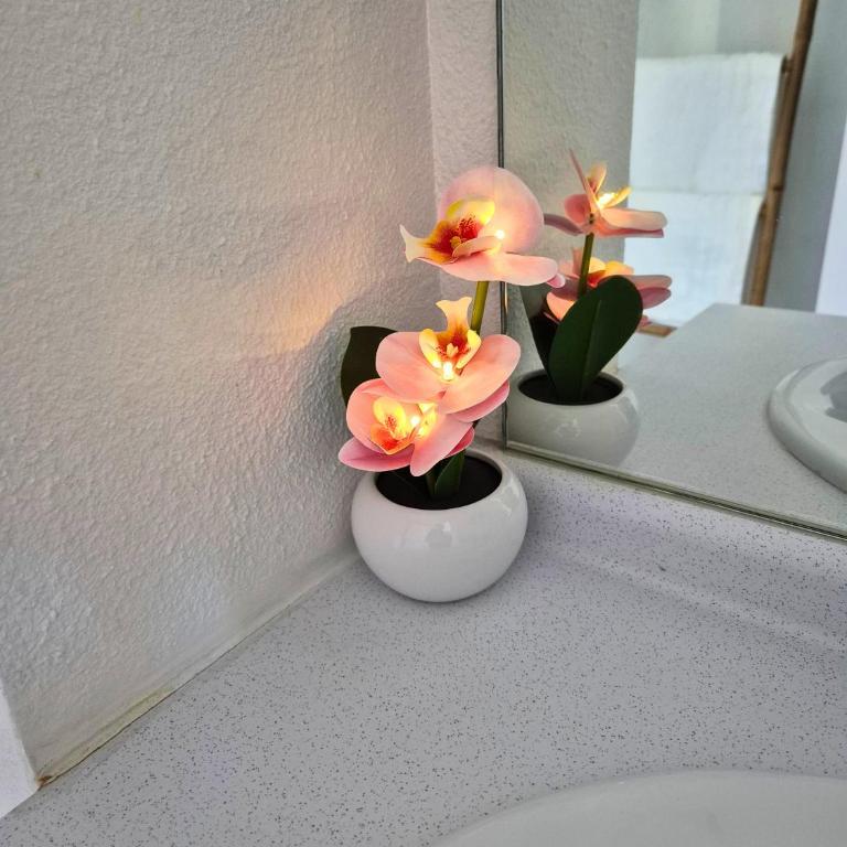 L'Ethnik Proche du centre - Wifi - Moderne - Appartement 1 Chambre - 31