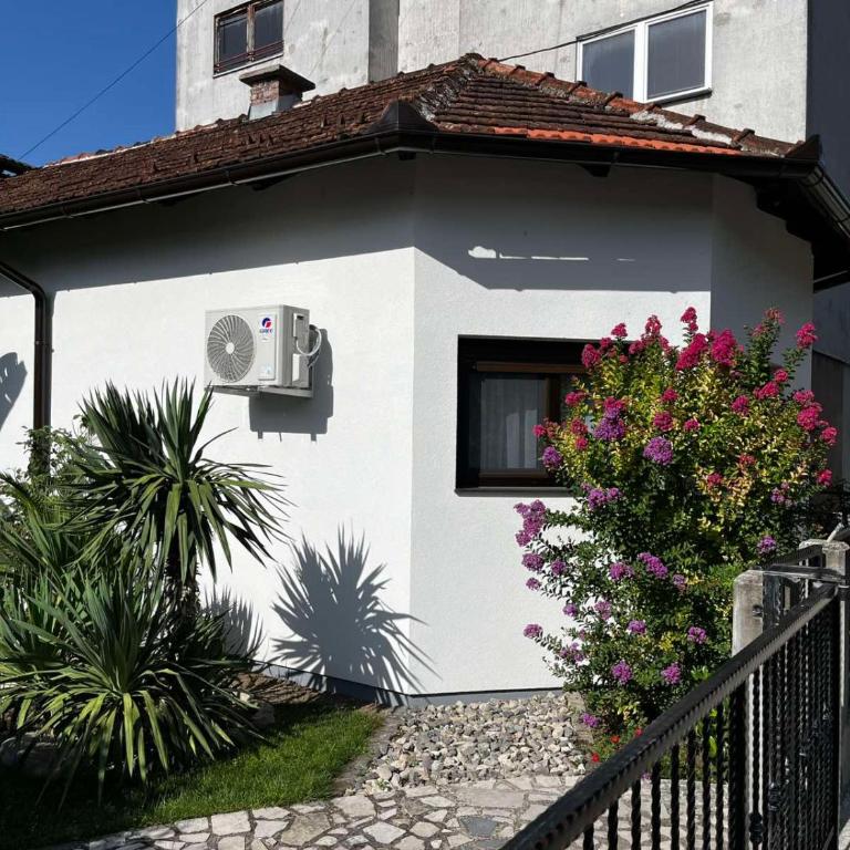Apartman Orhideja - One-Bedroom Apartment - 1