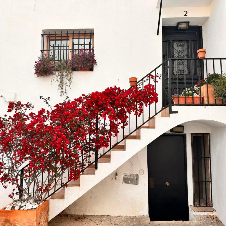 Casa Casco Antiguo Altea - La Toalla - Casa con 1 dormitorio - 49