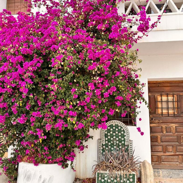 Casa Casco Antiguo Altea - La Toalla - Casa con 1 dormitorio - 64