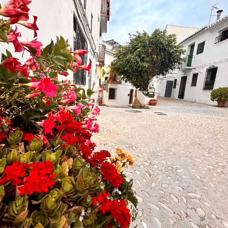 Casa Casco Antiguo Altea - La Toalla - Casa con 1 dormitorio - 38