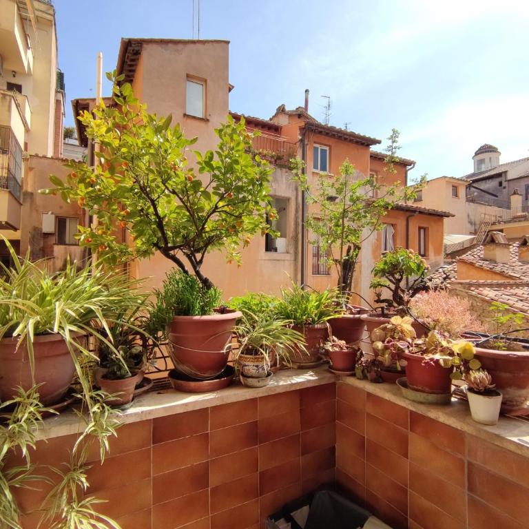 Casa Luisa - WelcomeToRhome - Appartamento con 2 Camere da Letto - 2