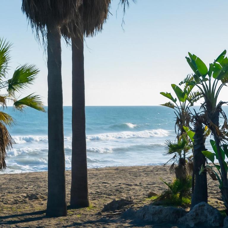 Céntrico con Piscina y Playa a 500 metros - Apartamento de 2 dormitorios con terraza - 5