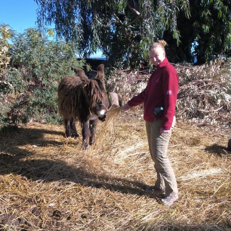 Luquina 360 - Community Homestay on Lake Titicaca - Family Room with Private Bathroom - 17