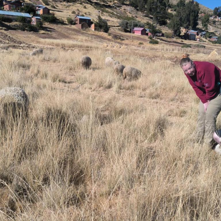 Luquina 360 - Community Homestay on Lake Titicaca - Family Room with Private Bathroom - 16
