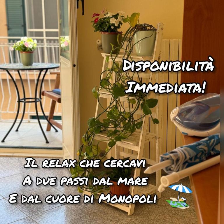 Nenni al Mare Apartment - Two-Bedroom Apartment - 1