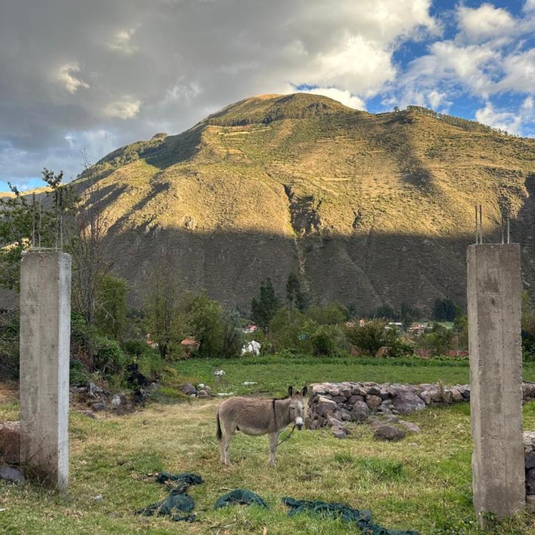Cozy Casita in the Sacred Valley Breathtaking Waterfall and Mountains View - Chalet de 2 dormitorios - 17