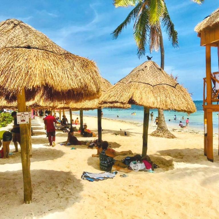 Beachfront DOME with Oceanview & Sunrise - Near Ferry - Apartamento de 1 dormitorio - 9
