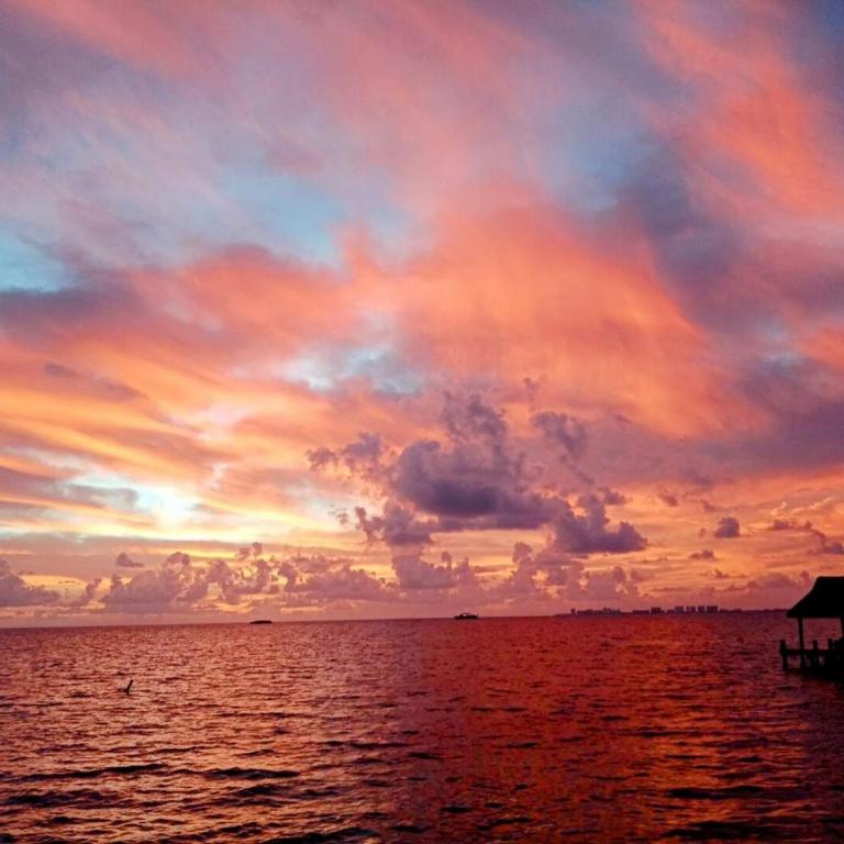 Beachfront DOME with Oceanview & Sunrise - Near Ferry - Apartamento de 1 dormitorio - 31