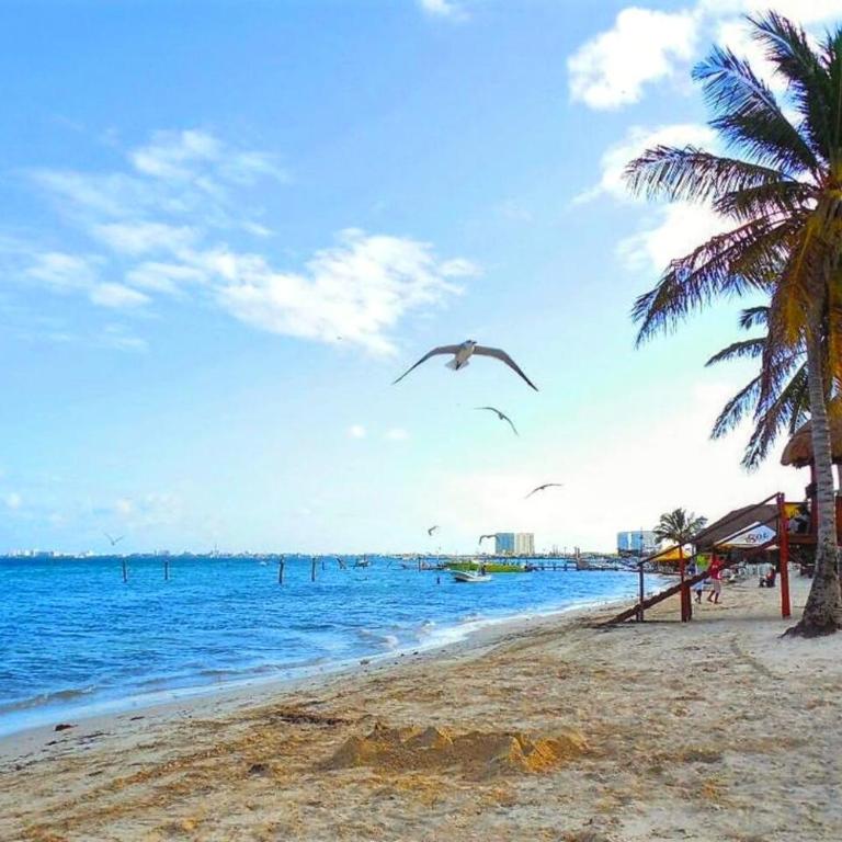 Beachfront DOME with Oceanview & Sunrise - Near Ferry - Apartamento de 1 dormitorio - 33
