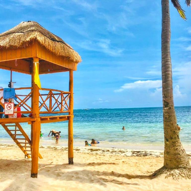 Beachfront DOME with Oceanview & Sunrise - Near Ferry - Apartamento de 1 dormitorio - 34
