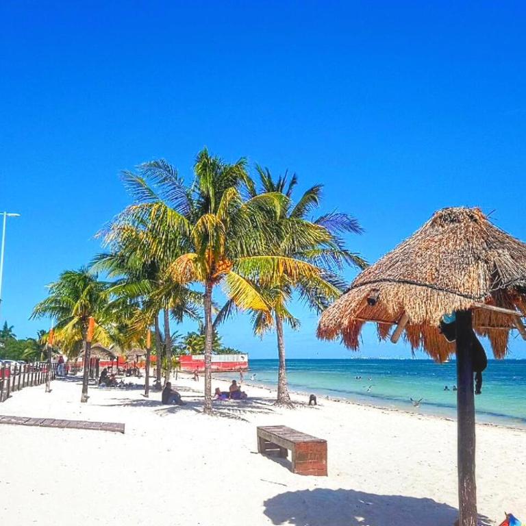 Beachfront DOME with Oceanview & Sunrise - Near Ferry - Apartamento de 1 dormitorio - 6