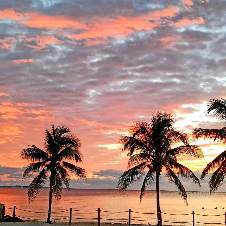 Beachfront DOME with Oceanview & Sunrise - Near Ferry - Apartamento de 1 dormitorio - 38
