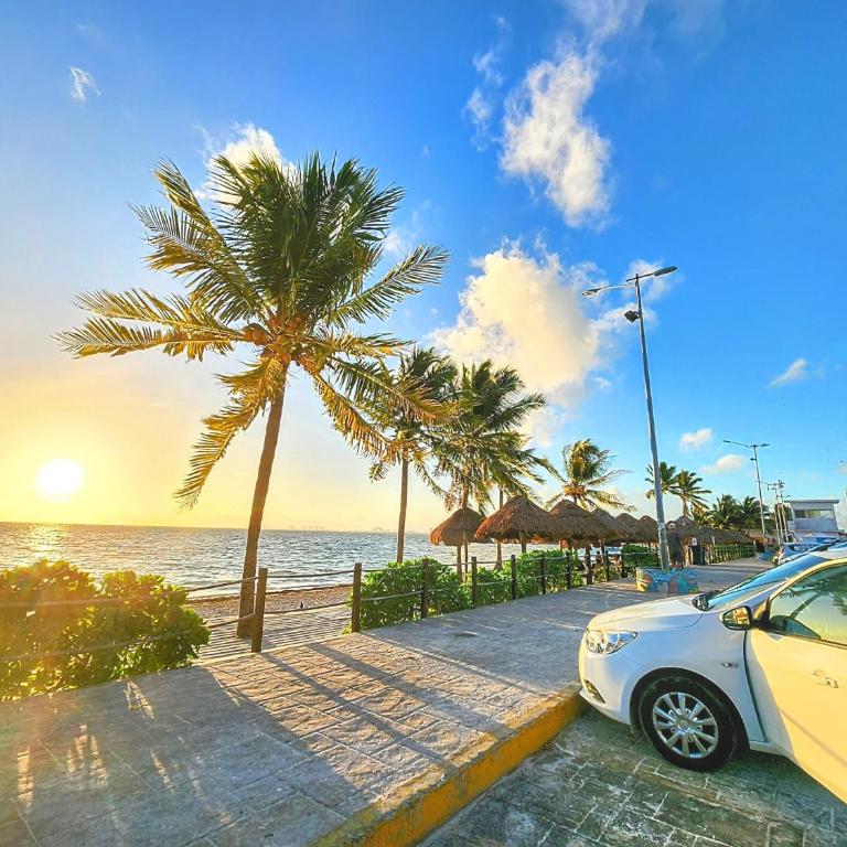 Beachfront DOME with Oceanview & Sunrise - Near Ferry - Apartamento de 1 dormitorio - 39
