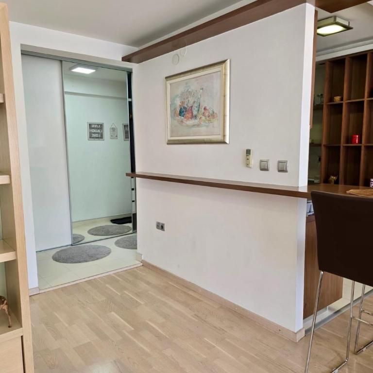 Premium Apartment Vilsonovo - Apartman sa 1 Spavaćom Sobom - 5