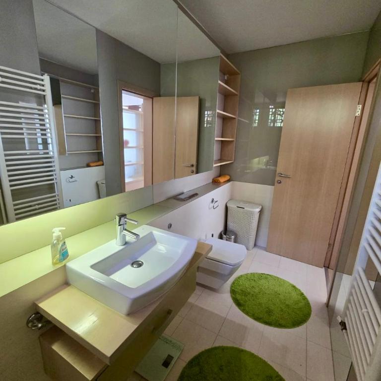 Premium Apartment Vilsonovo - Apartman sa 1 Spavaćom Sobom - 6