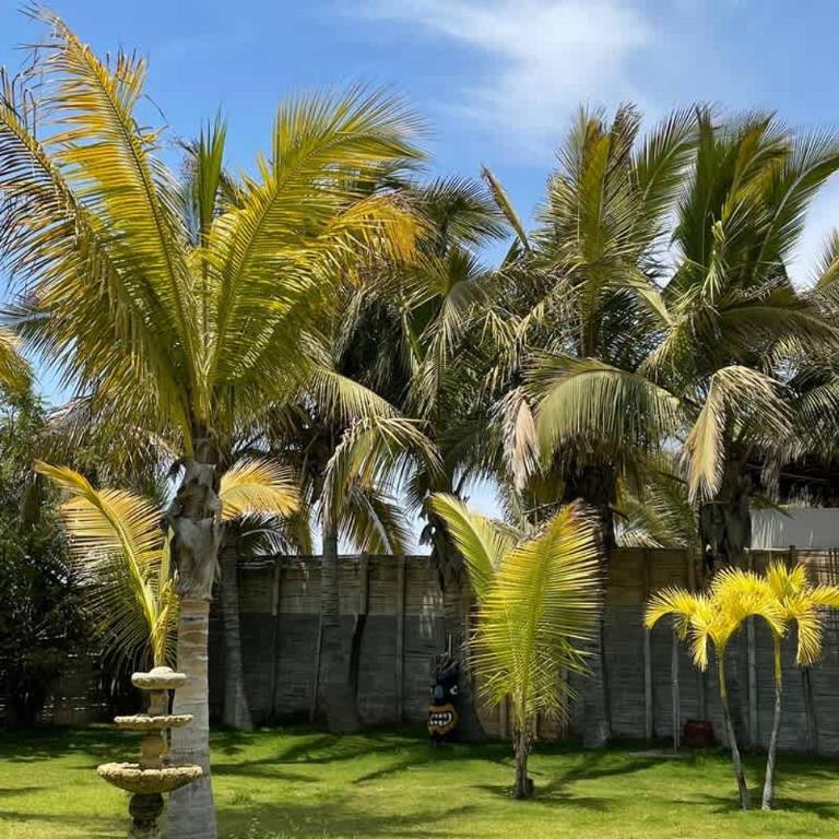 Cozy 1BR Sea View - Apartamento - 4