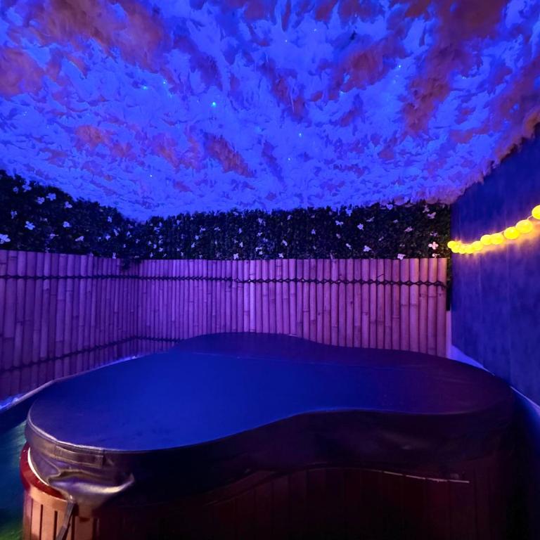 Love-room climatisé Jaccuzi sauna - Appartement 1 Chambre - 4