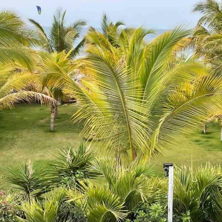 Relaxing 1BR Palm View near Beach - Apartamento - 6