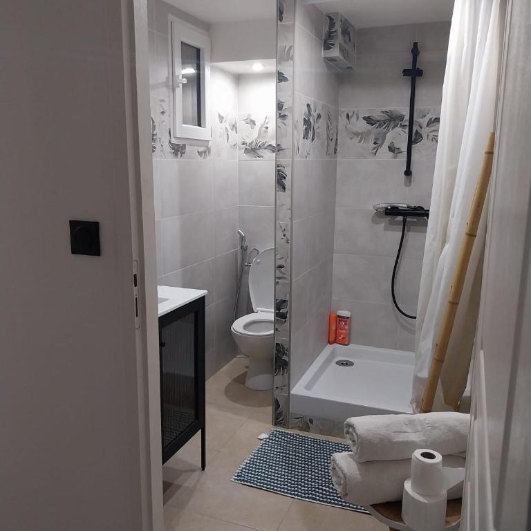 Maison rez de chaussée avec un espace jardin, bien située - Maison 1 Chambre - 17