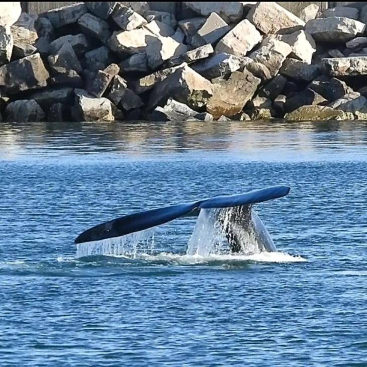 Casa alquiler temporario Necochea - Apartamento de 2 dormitorios - 34