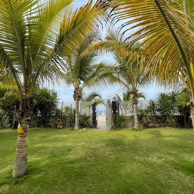 Serene 1BR Hammock near Palm Beach - Bungalow - 1