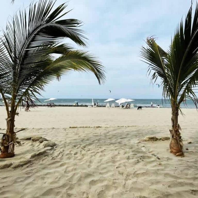 Serene 1BR Hammock near Palm Beach - Bungalow - 6