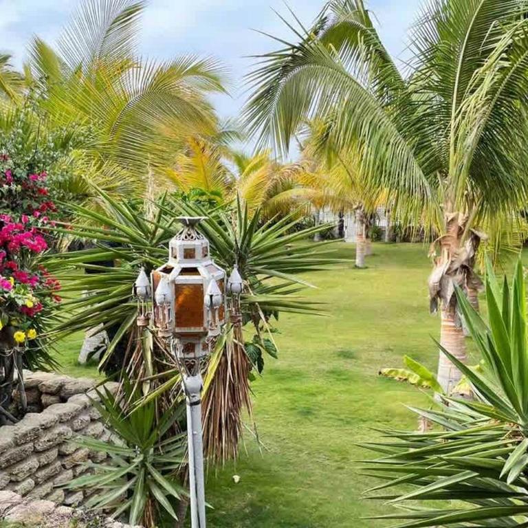 Serene 1BR Hammock near Palm Beach - Bungalow - 8