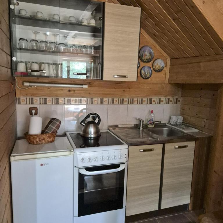Art Apartments Minic - Porodični Apartman (5 Odraslih Osoba) - 13