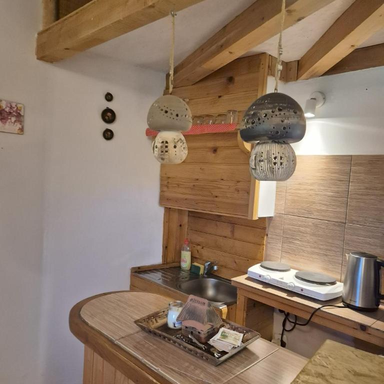 Art Apartments Minic - Bungalov - 14