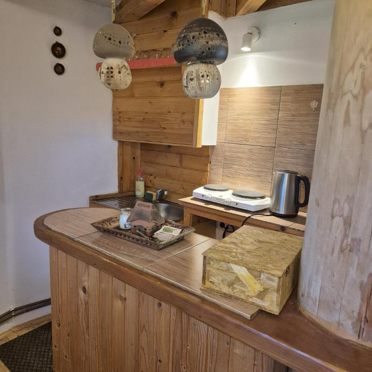 Art Apartments Minic - Bungalov - 10