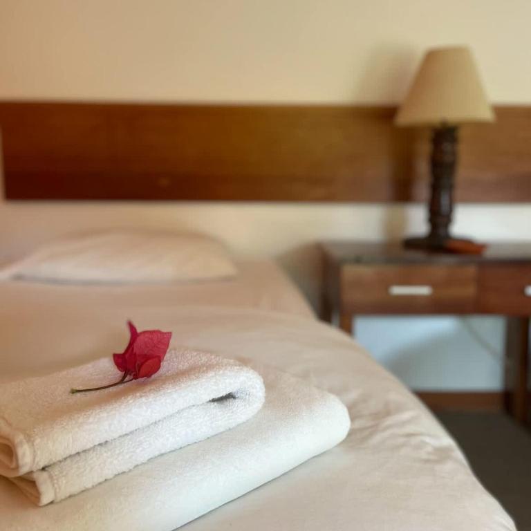 Cozy 1BR Garden View near Beach - Bungalow - 3