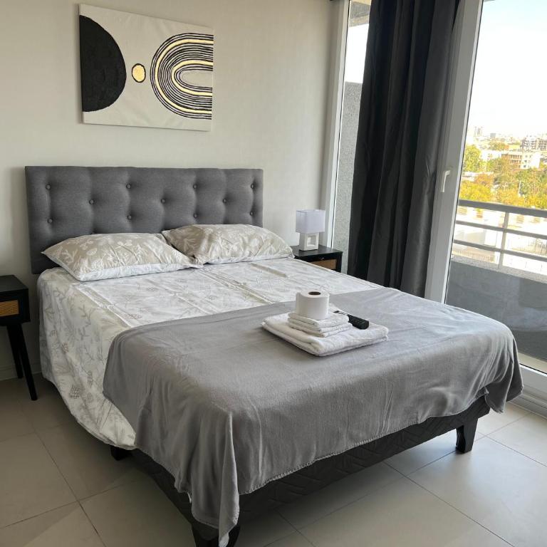 Hermoso departamento nuevo en Santiago - One-Bedroom Apartment - 16